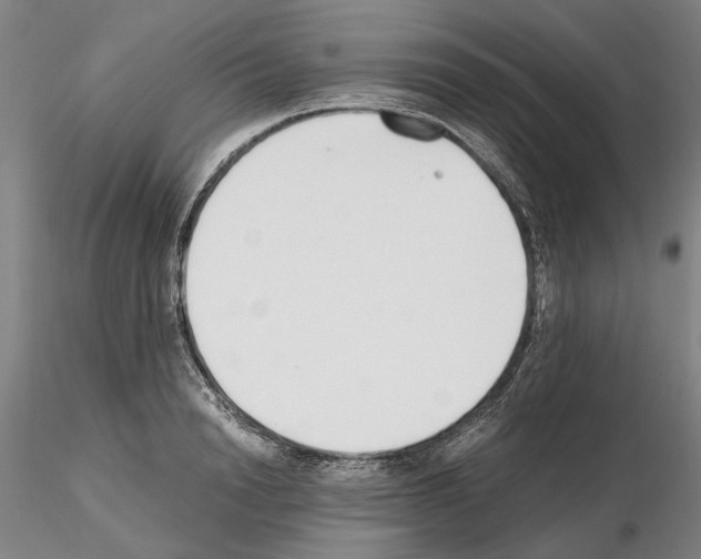 X0000115000846200912071138