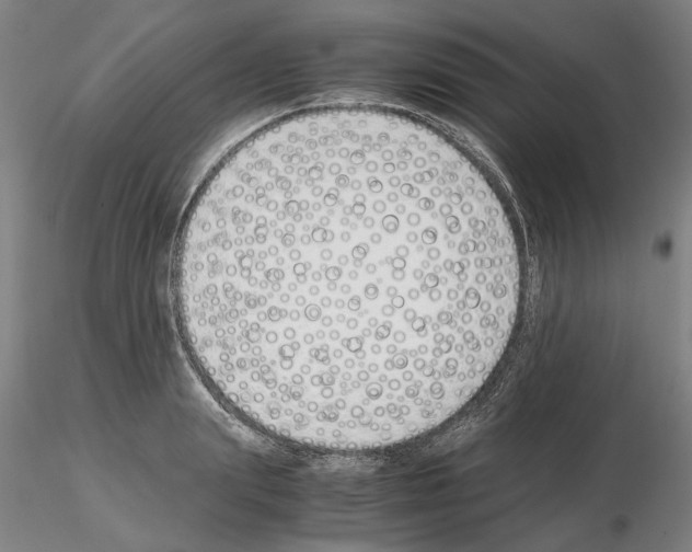 X0000115000847200912071138