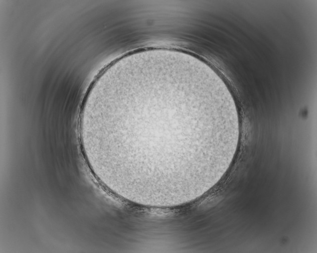 X0000115000848200912071138