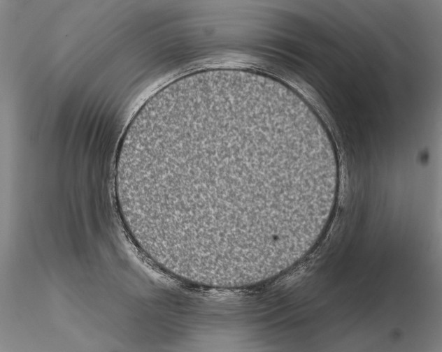 X0000115000850200912071138