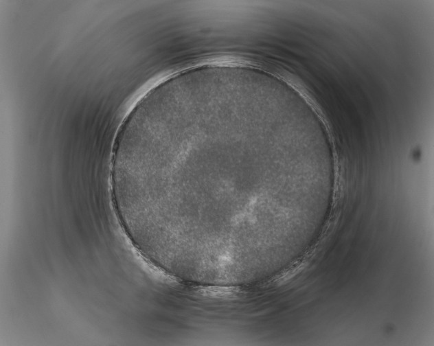 X0000115000853200912071138