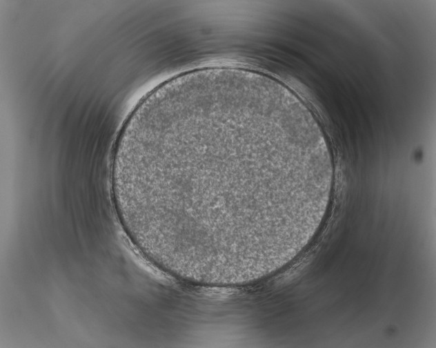 X0000115000854200912071138