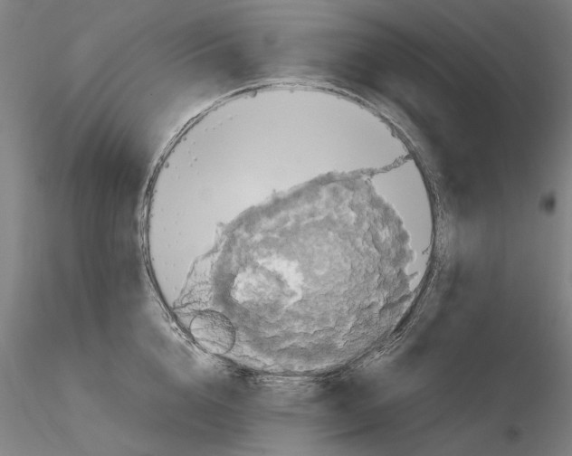 X0000115000856200912071138