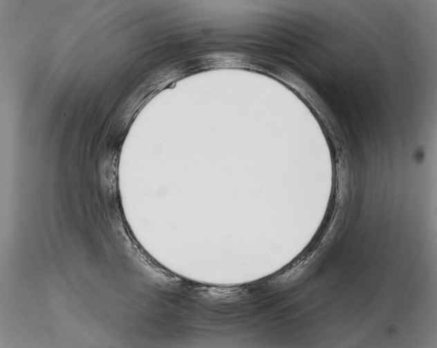 X0000115000857200912071138