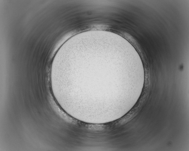 X0000115000859200912071138