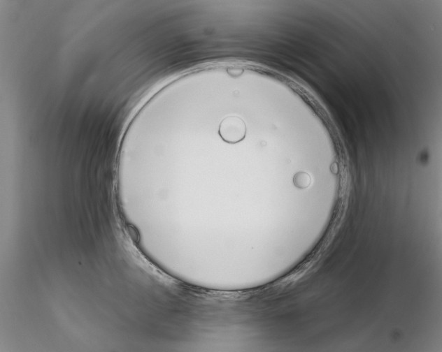 X0000115000860200912071138