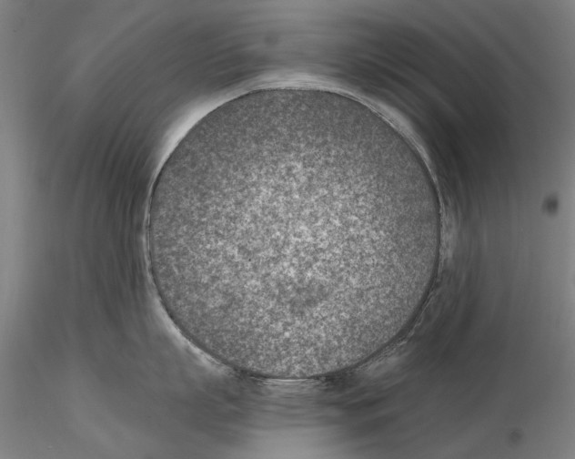 X0000115000863200912071138