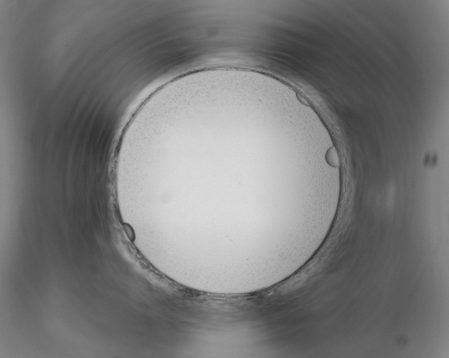 X0000115000864200912071138