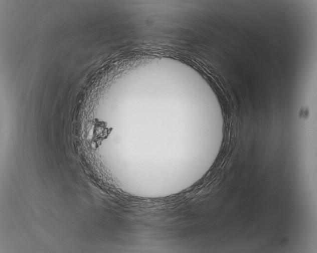 X0000115000865200912071137