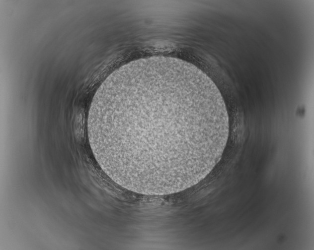 X0000115000866200912071137