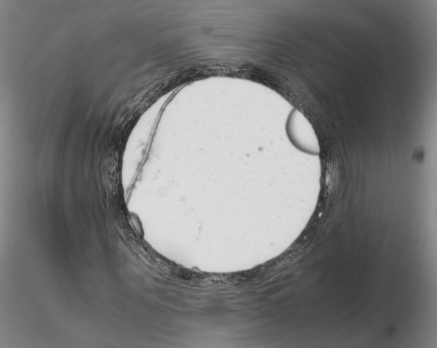 X0000115000867200912071137