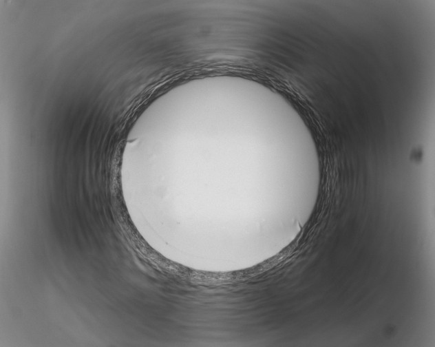 X0000115000868200912071137