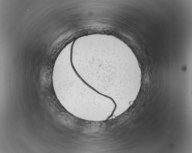 X0000115000869200912071137