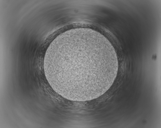 X0000115000870200912071137