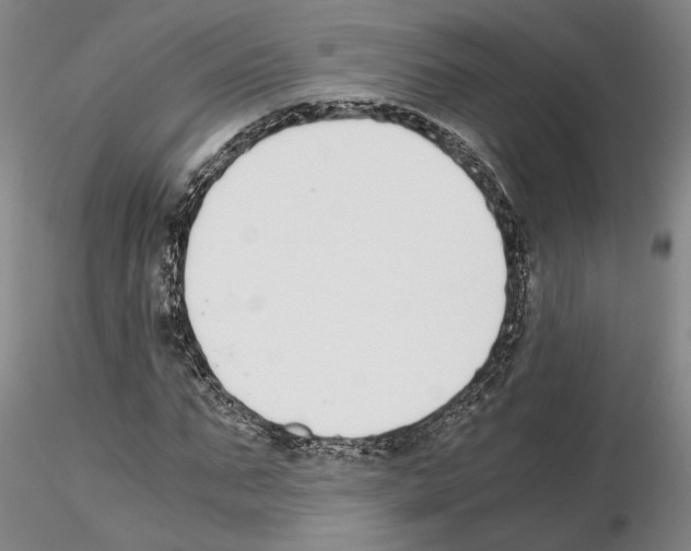 X0000115000871200912071137