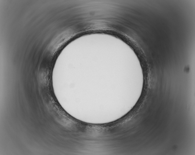 X0000115000873200912071137