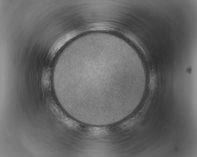 X0000115000874200912071137