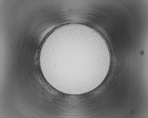 X0000115000875200912071137