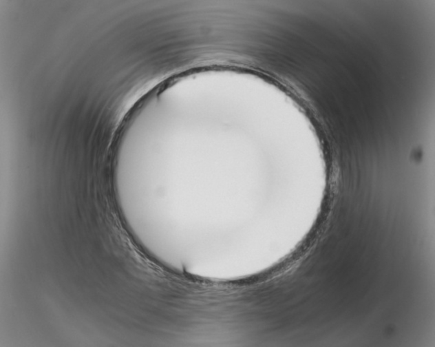 X0000115000877200912071137