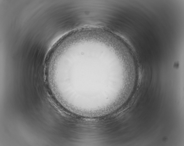 X0000115000878200912071137