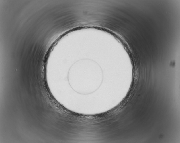 X0000115000879200912071137