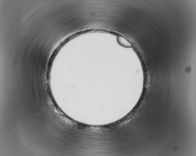 X0000115000880200912071137