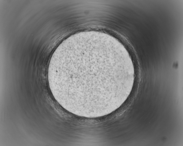 X0000115000881200912071137