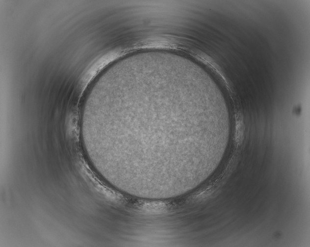 X0000115000882200912071137