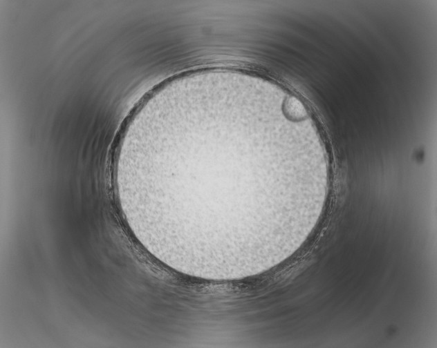 X0000115000883200912071137