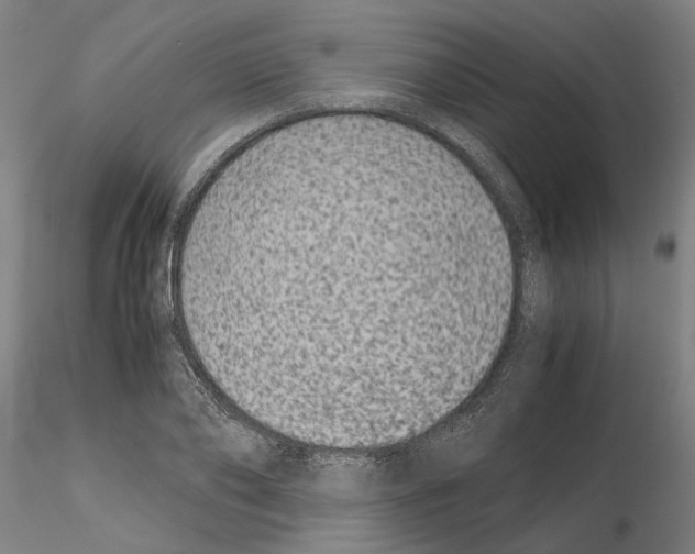 X0000115000886200912071137