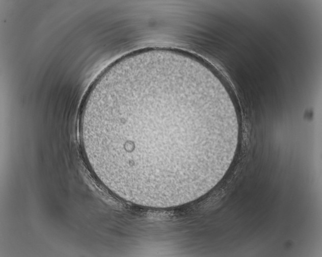 X0000115000887200912071137