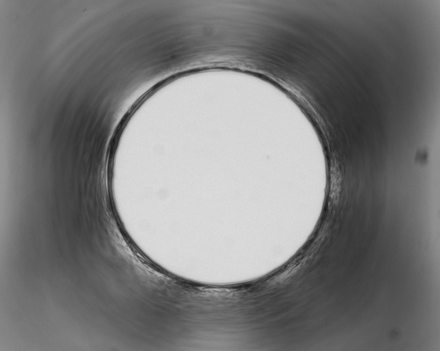 X0000115000888200912071137