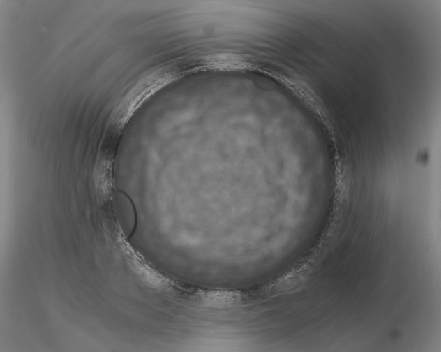 X0000115000889200912071137