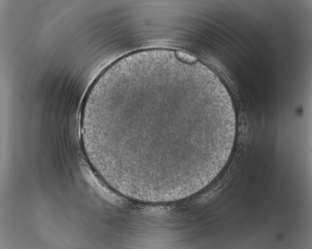 X0000115000892200912071137