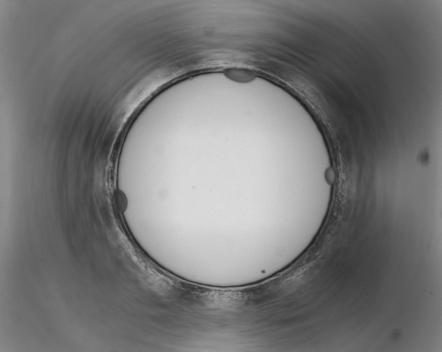 X0000115000893200912071137