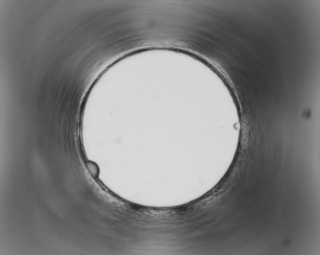 X0000115000895200912071137