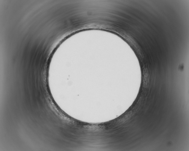 X0000115000896200912071137