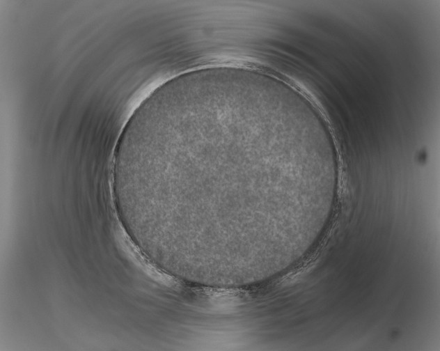 X0000115000899200912071137