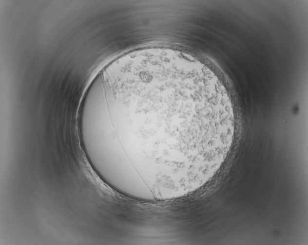 X0000115000900200912071137