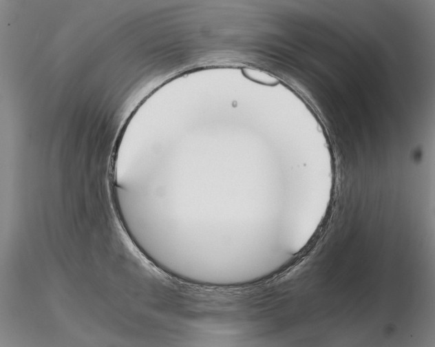 X0000115000901200912071137