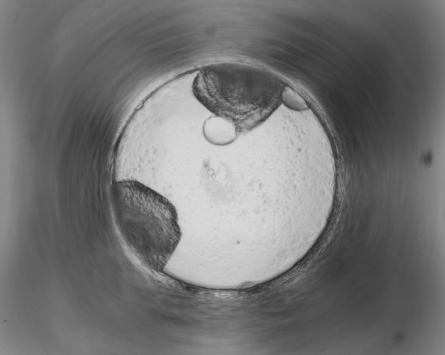 X0000115000903200912071137