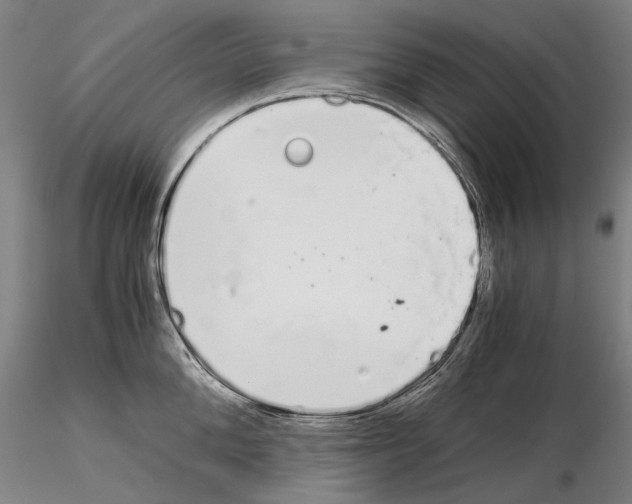 X0000115000904200912071137