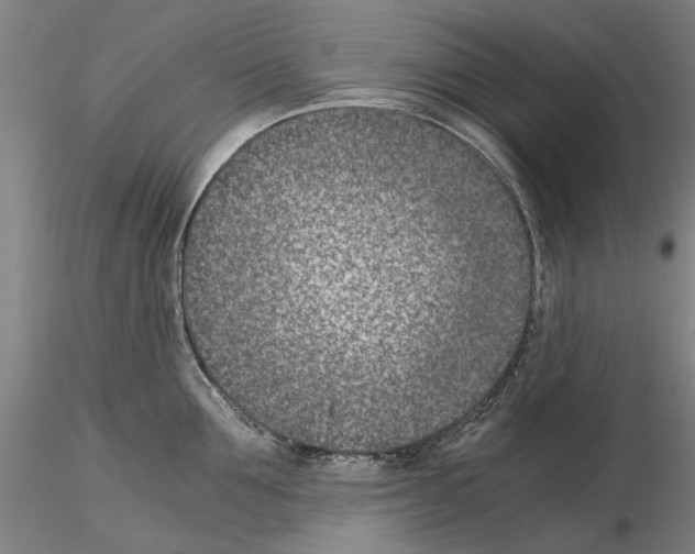 X0000115000907200912071137