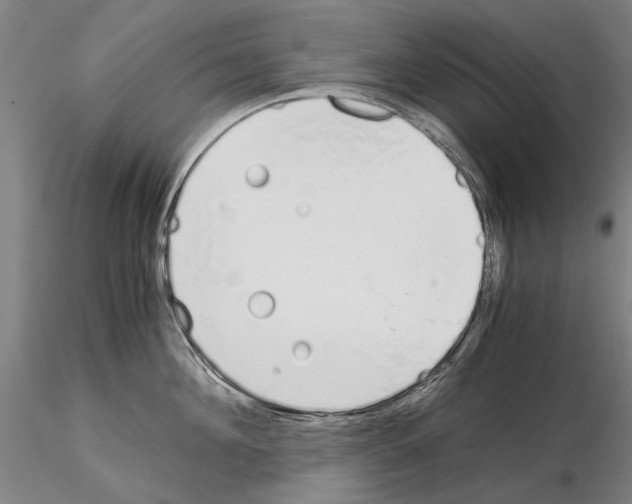 X0000115000908200912071137