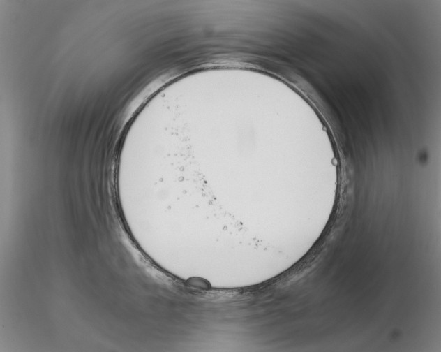 X0000115000909200912071137