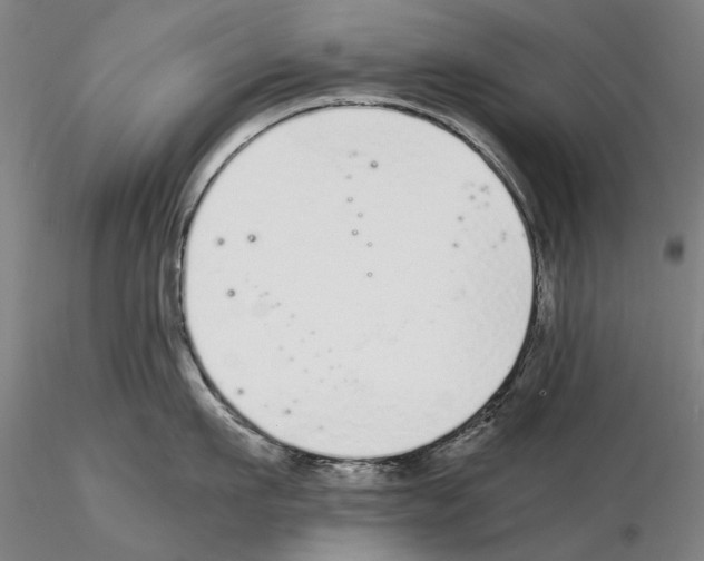 X0000115000911200912071137