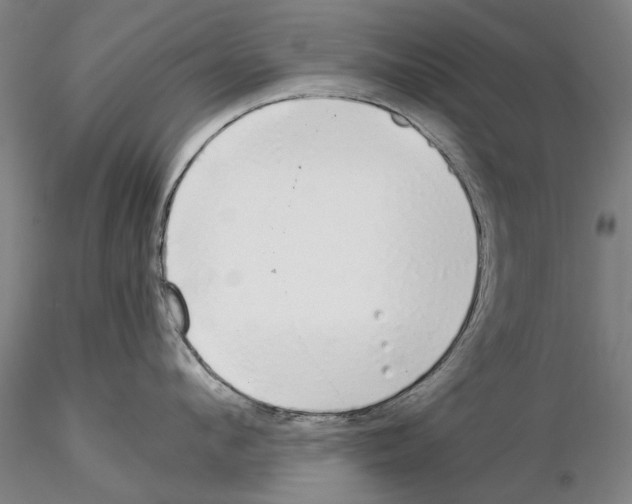 X0000115000912200912071137