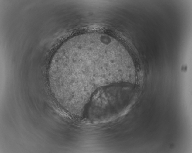 X0000115000913200912071136