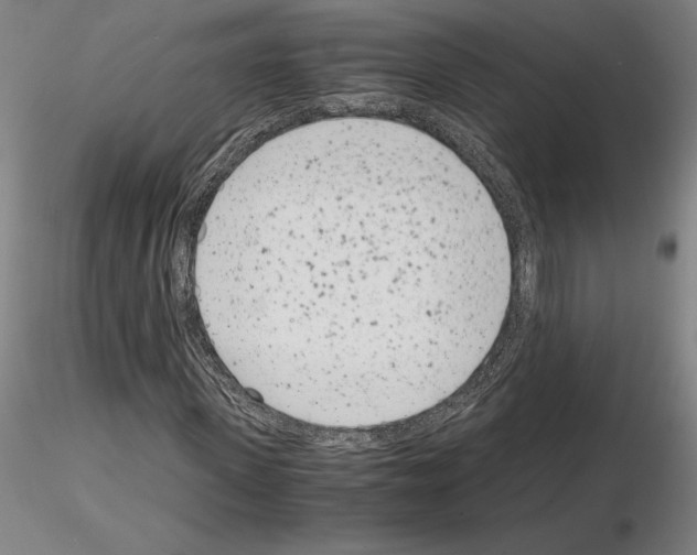 X0000115000915200912071136