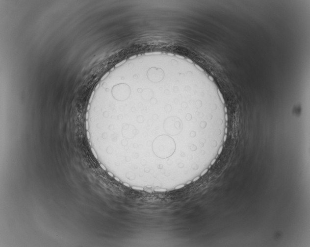 X0000115000917200912071136